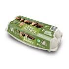 10 Fresh Free Range Eggs