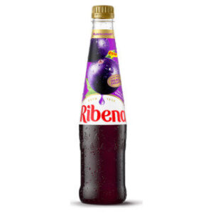 Ribena Blackcurrant Squash 600ml PETML P 1.69