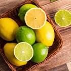 Lemon & Limes (4 Pack)